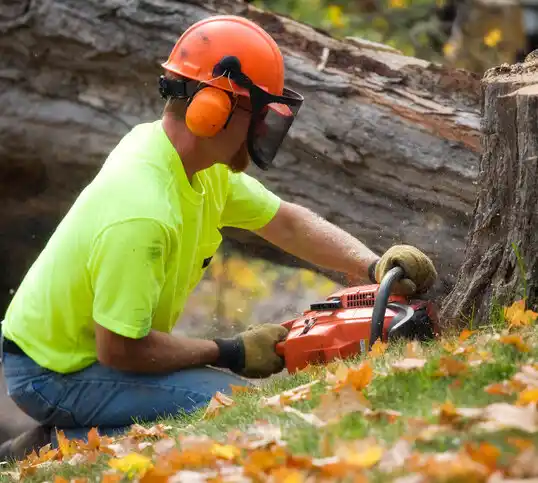 tree services Oriental